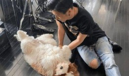 网红暗黑爆料视频大全集,视频大全集深度解析